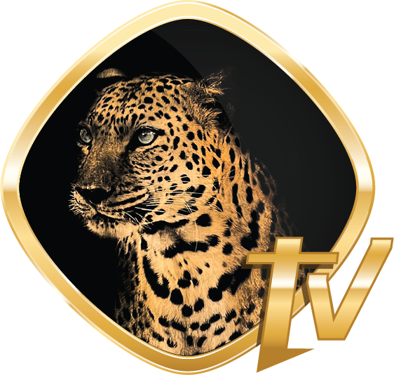 Cheetah TV Logo